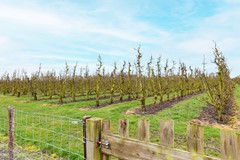 Heinkenszandseweg 72, 4451 NX Heinkenszand - Heinkenszandseweg 72 fotografie-57.jpg